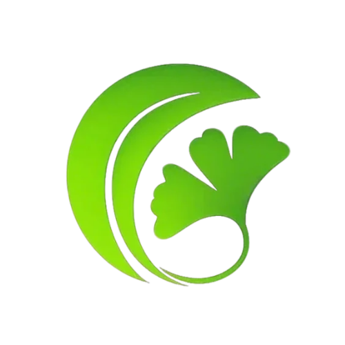 <font color=red>白果Ai论文</font>